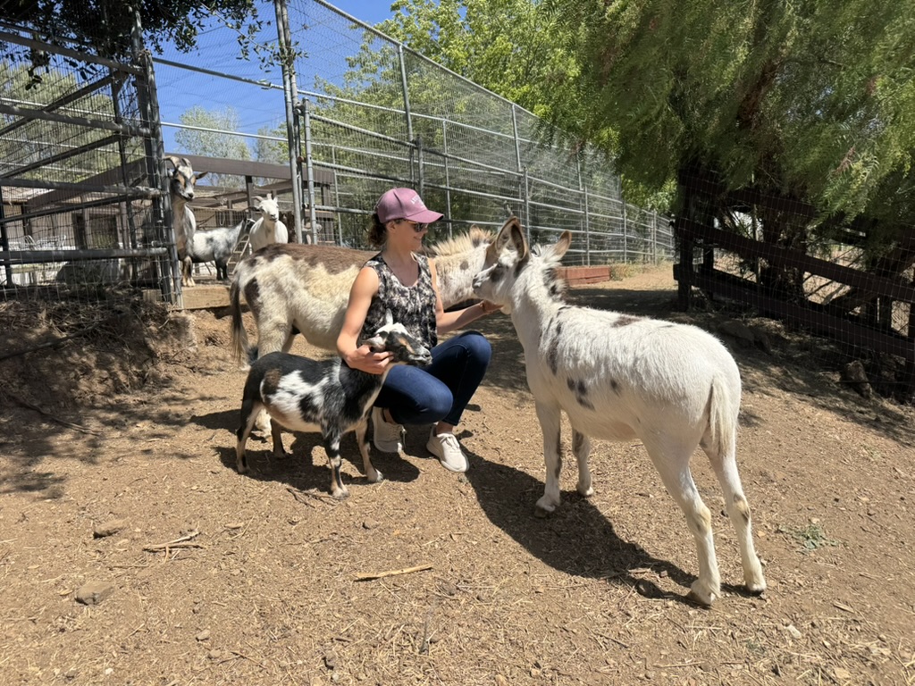 Dr. Kristen Yule conducting equine therapy and horse therapy in Palos Verdes Estates